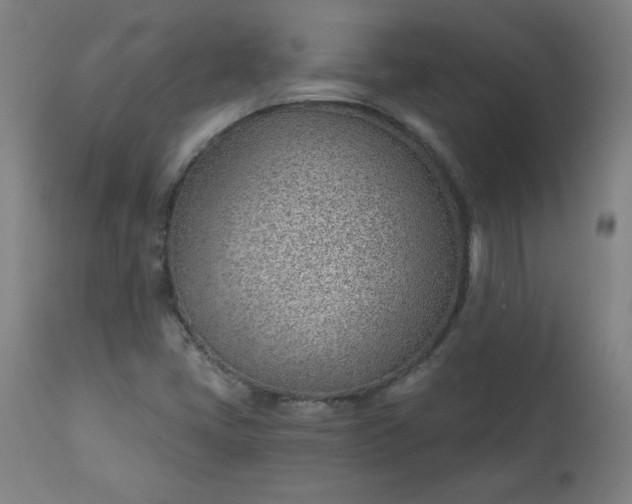 X0000112921405200909080923