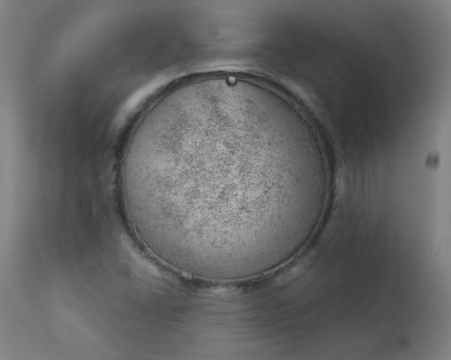 X0000112921406200909080923