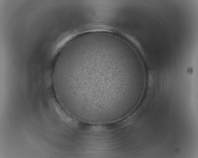 X0000112921407200909080923