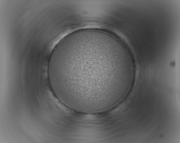 X0000112921409200909080923