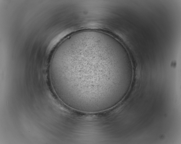 X0000112921410200909080923