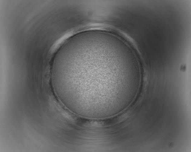 X0000112921411200909080923