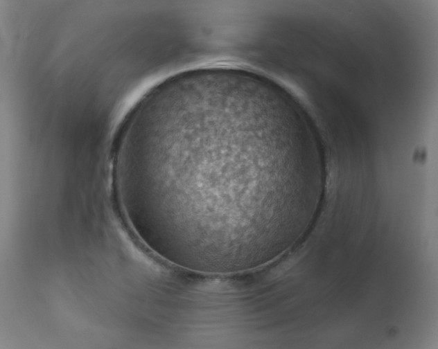 X0000112921414200909080923