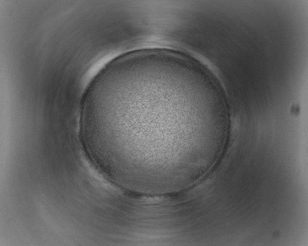 X0000112921415200909080923