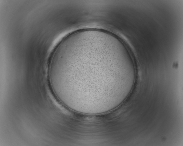 X0000112921416200909080923