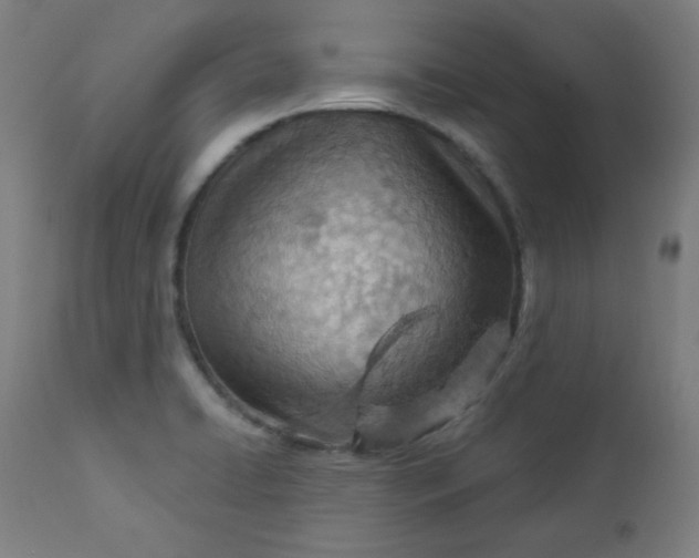 X0000112921422200909080923