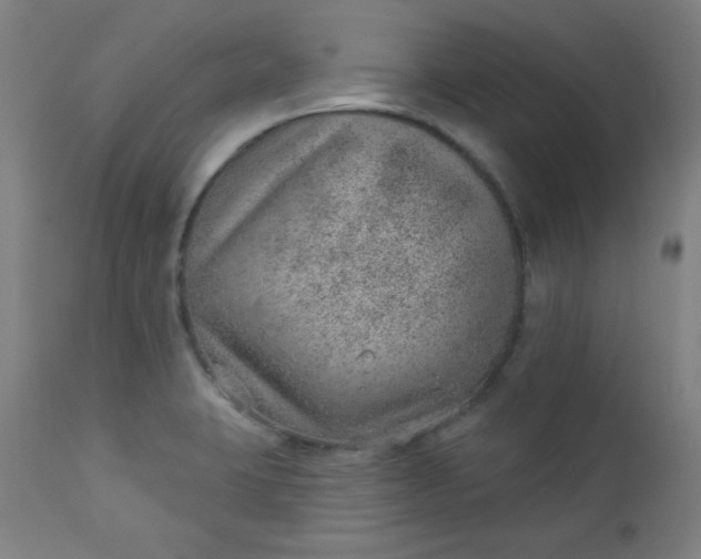 X0000112921423200909080923