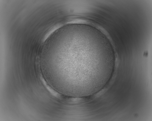 X0000112921425200909080923
