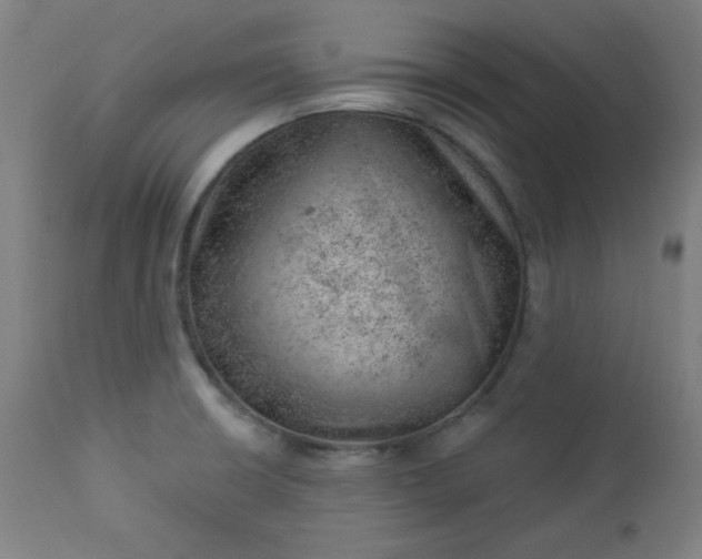 X0000112921426200909080923