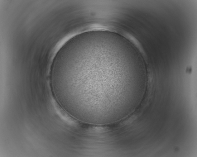 X0000112921427200909080923