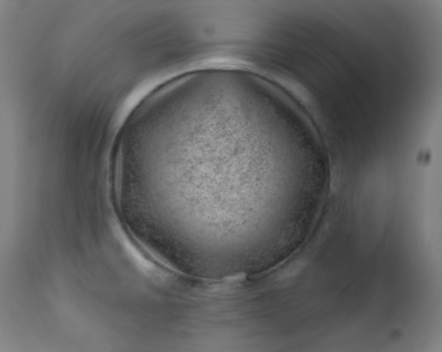 X0000112921430200909080923