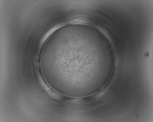X0000112921434200909080923