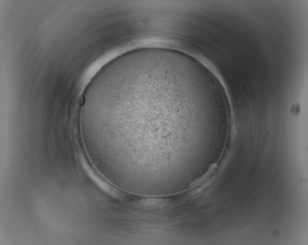 X0000112921437200909080924