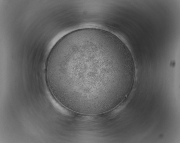 X0000112921438200909080924