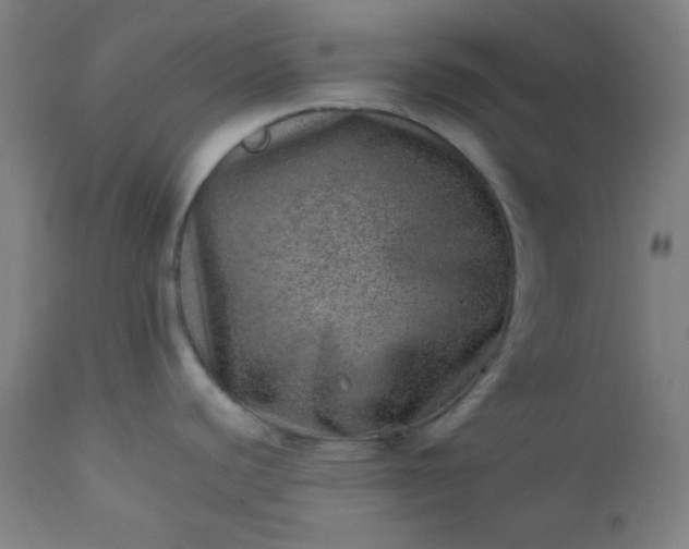 X0000112921440200909080924