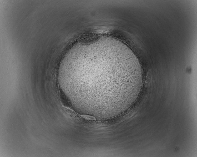X0000112921441200909080923