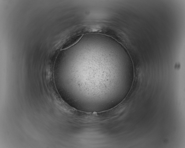 X0000112921442200909080923