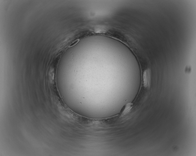 X0000112921443200909080923