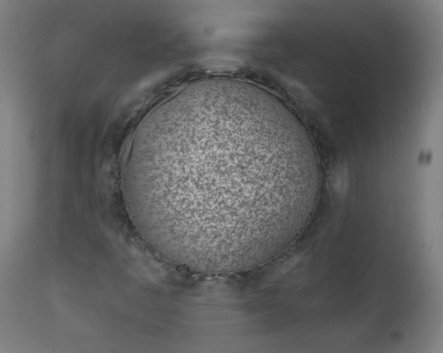 X0000112921445200909080923