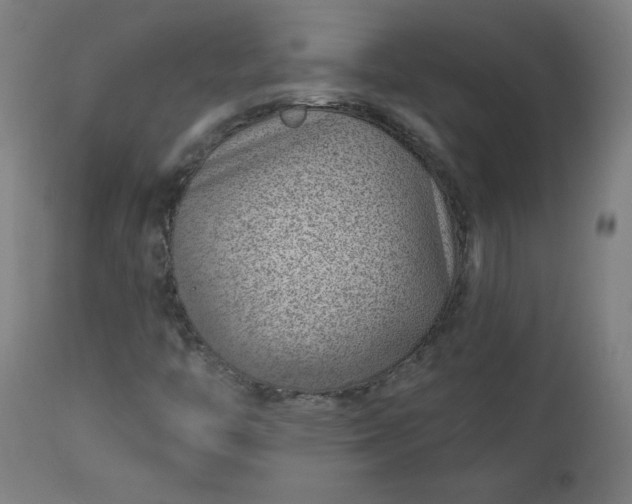 X0000112921446200909080923