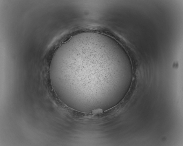 X0000112921447200909080923