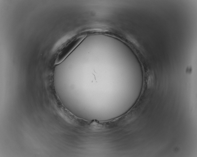 X0000112921448200909080923