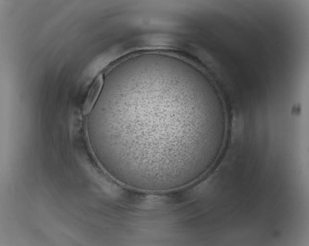 X0000112921449200909080923