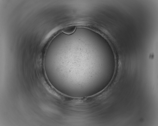 X0000112921450200909080923