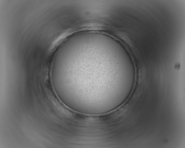 X0000112921451200909080923