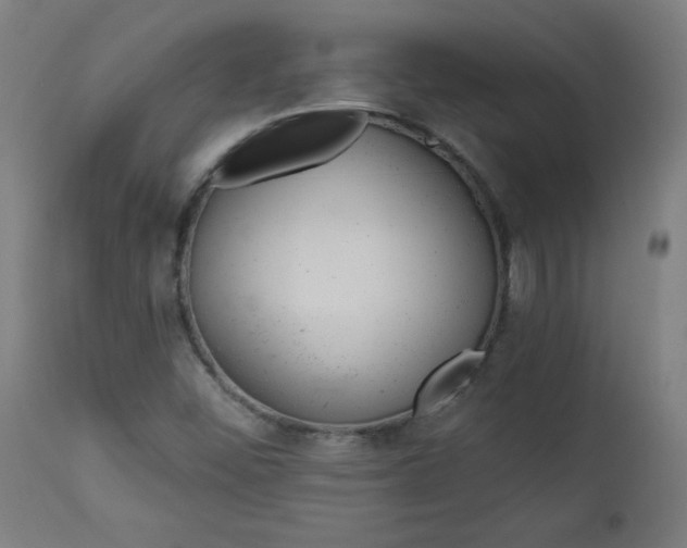 X0000112921452200909080923