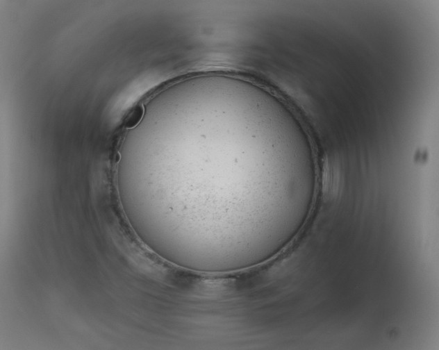 X0000112921453200909080923