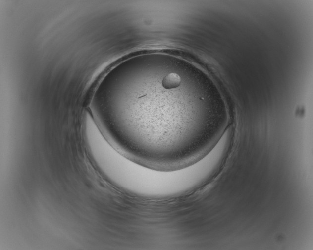 X0000112921457200909080923