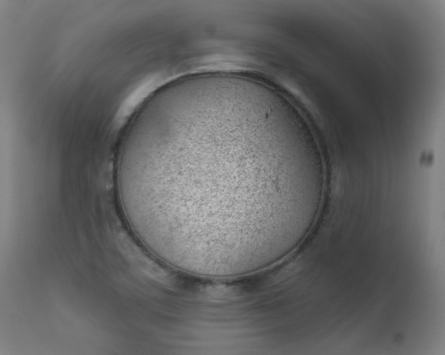 X0000112921459200909080923