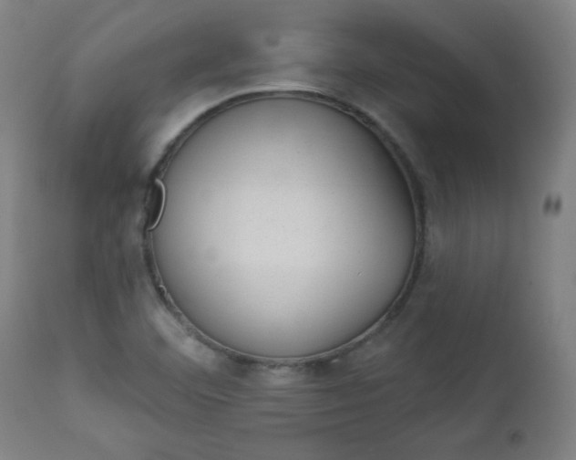 X0000112921460200909080923