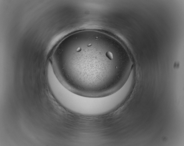 X0000112921461200909080923