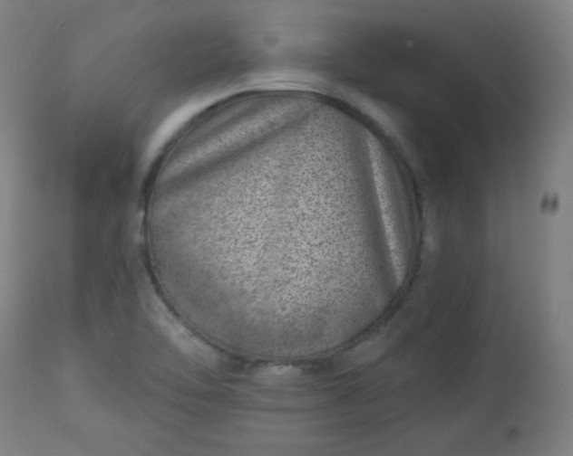 X0000112921462200909080923