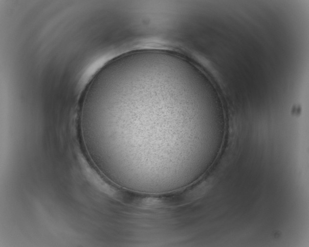 X0000112921463200909080923