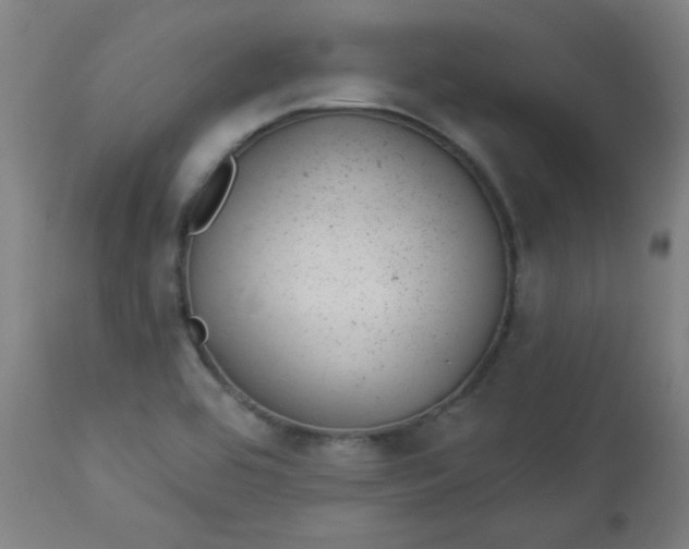 X0000112921464200909080923