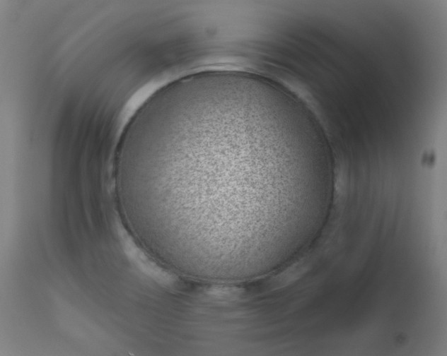 X0000112921466200909080923