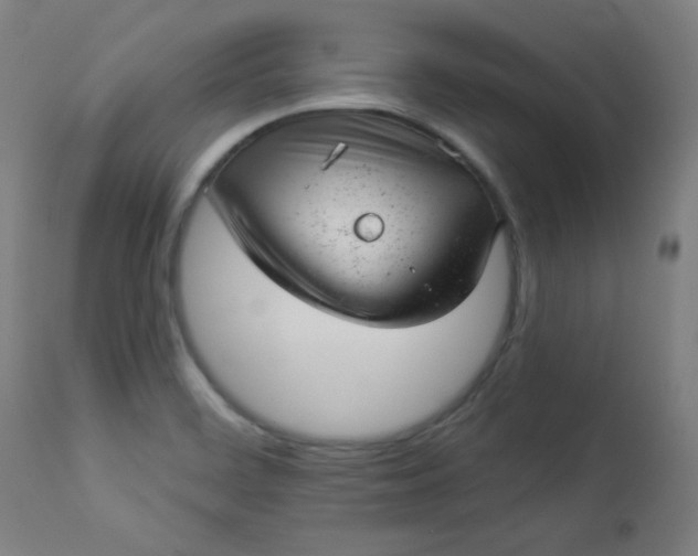 X0000112921468200909080923