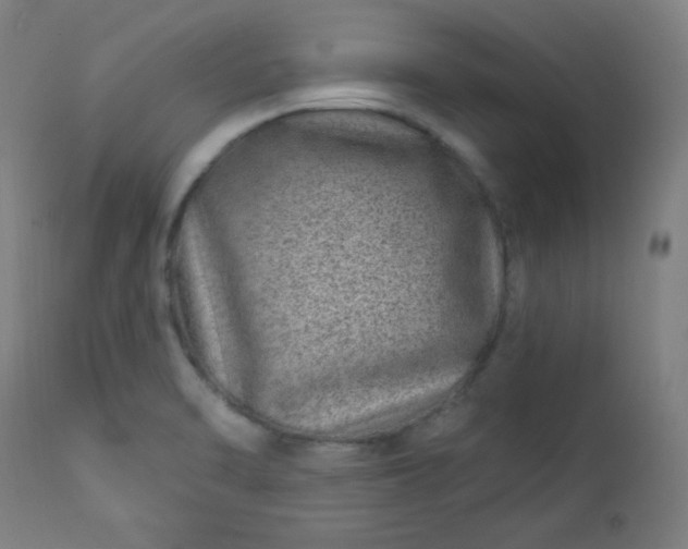 X0000112921470200909080922