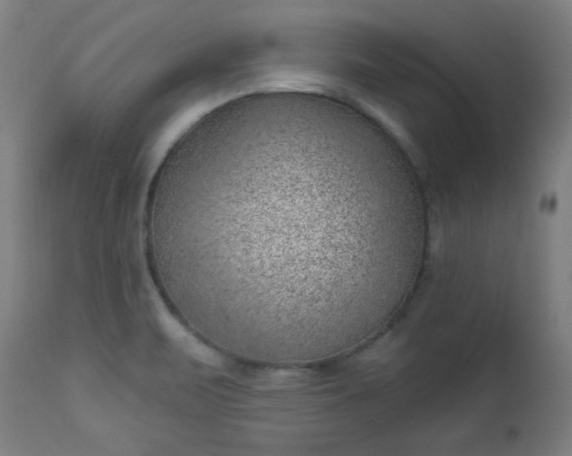 X0000112921471200909080922