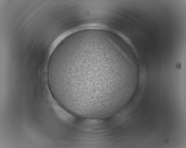 X0000112921474200909080922