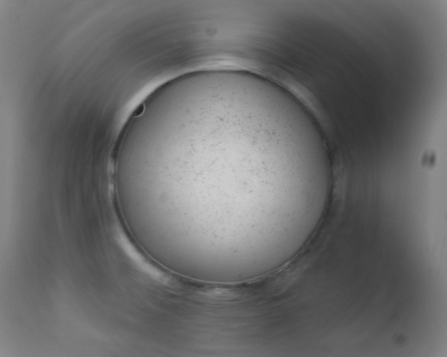 X0000112921476200909080922