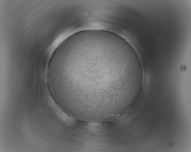 X0000112921477200909080922