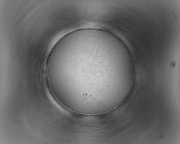 X0000112921479200909080922