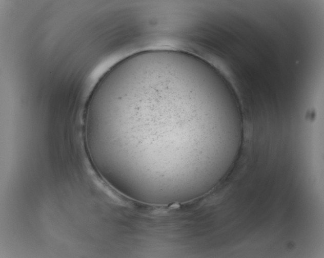 X0000112921480200909080922
