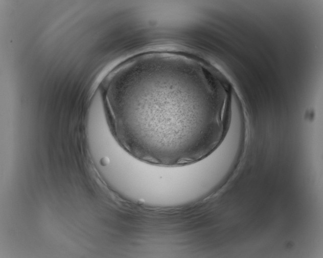 X0000112921481200909080922