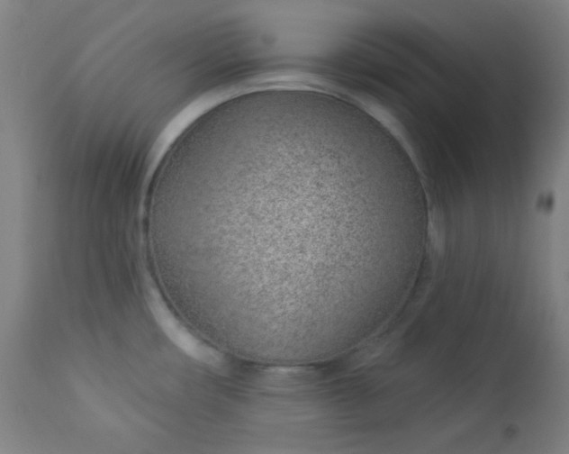 X0000112921482200909080922