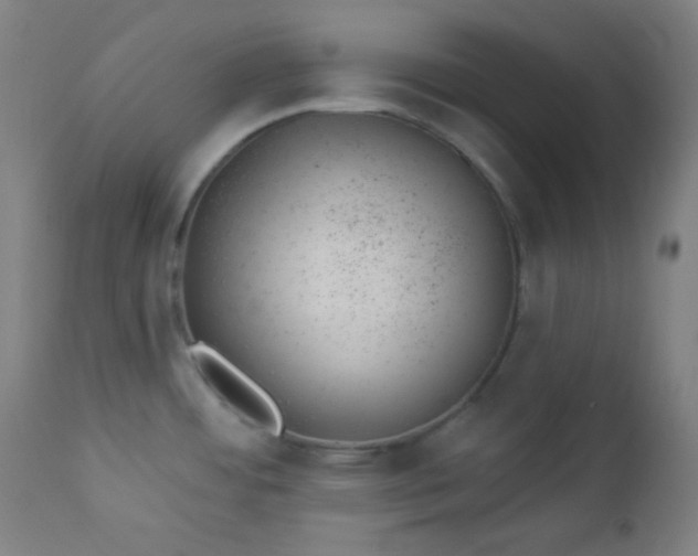 X0000112921484200909080922